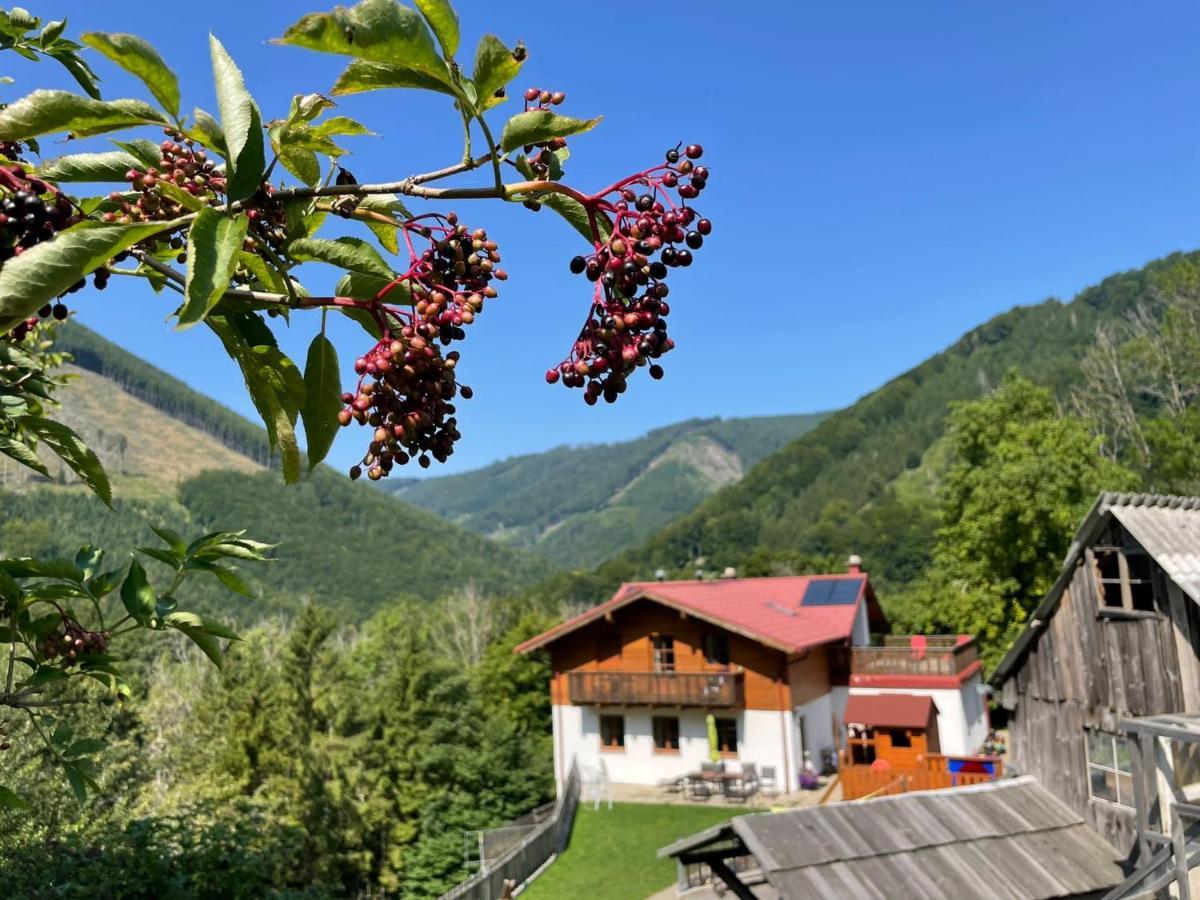 Buechlhof - App. Breitenstein Lilienfeld Buitenkant foto