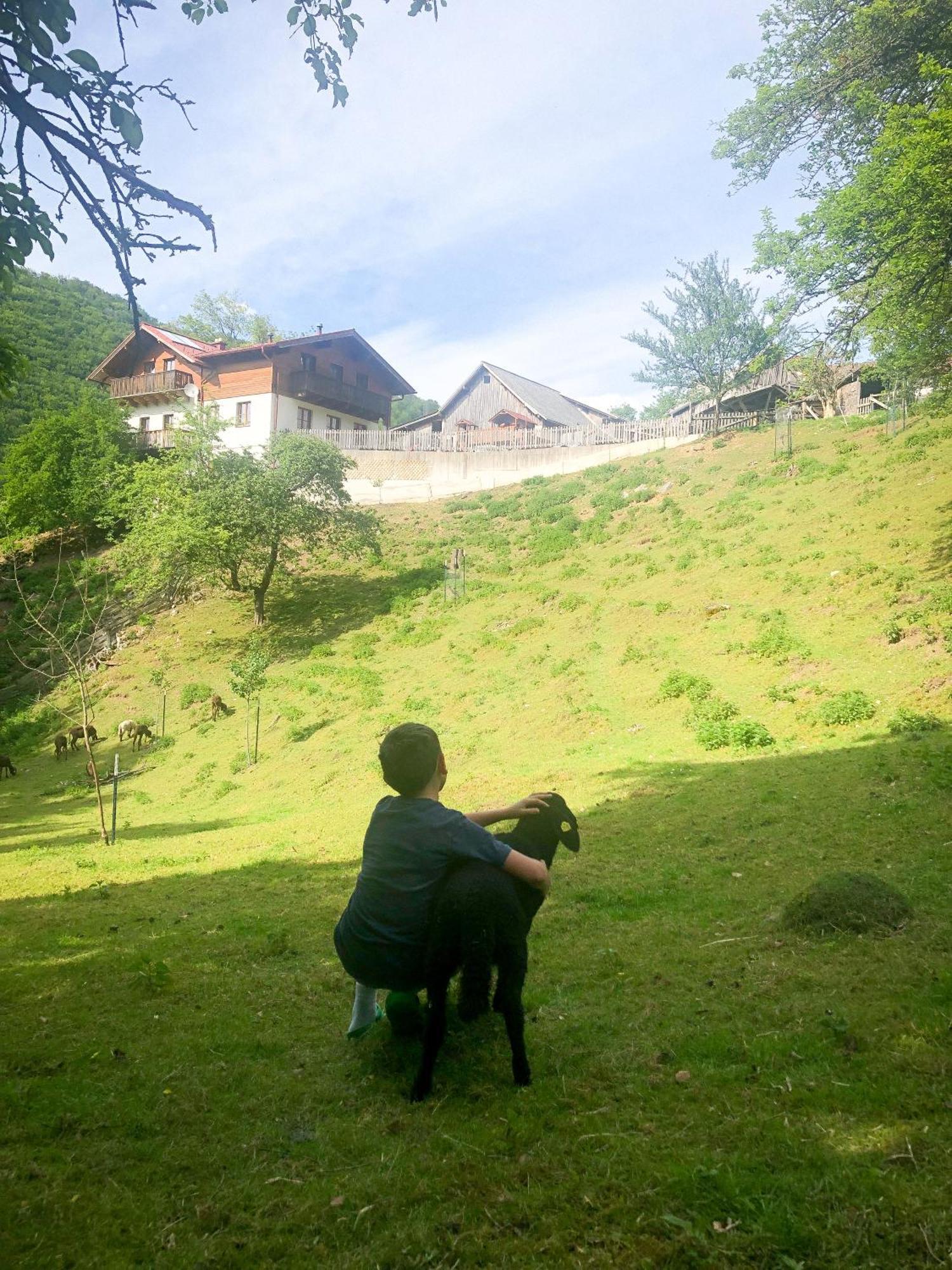 Buechlhof - App. Breitenstein Lilienfeld Buitenkant foto